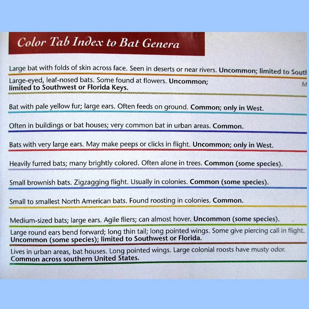 Book: Stokes Beginner's Guide to Bats -- a pocket-sized field guide - Picture 13 of 16